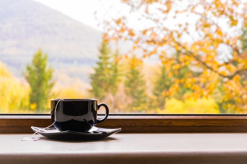 A cup in front of a window with a fall view. Why Do I Need a Humidifier in the Fall?